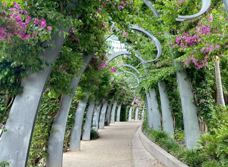 Công viên South Bank Parklands ven sông Brisbane – điểm thư giãn lý tưởng tại Brisbane Úc